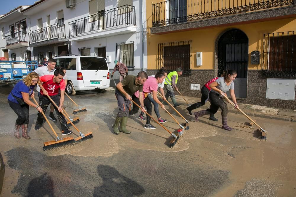 LABORES DE LIMPIEZA EN VILLANUEVA DEL TRABUCO