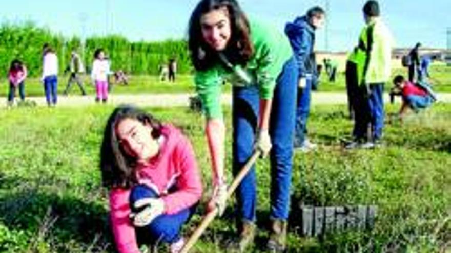 Alumnos plantan 700 árboles en el San Lázaro y limpian el parque