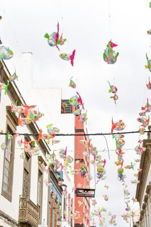 Peces en la calle Cano