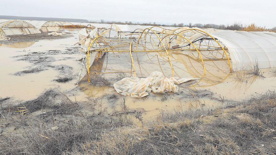 La Ribera Baja aguanta ante la cresta de la crecida del Ebro sin afecciones en los núcleos urbanos