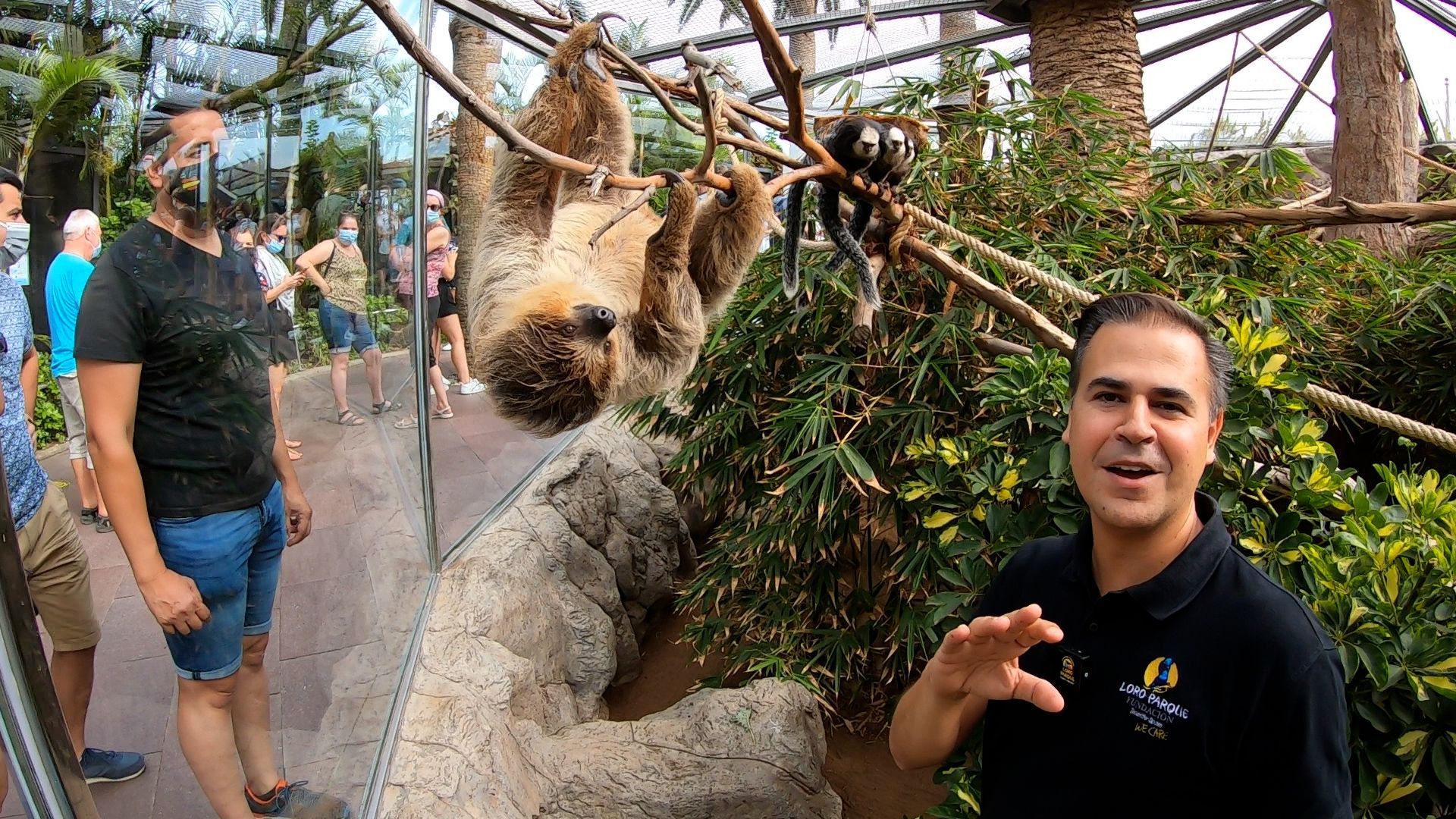 Loro Parque celebra el Día Internacional del Perezoso