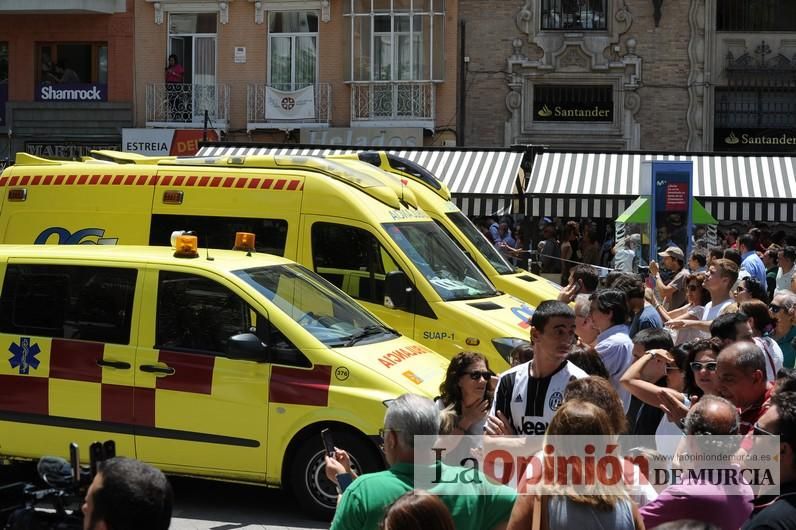 Cae parte del ficus de Santo Domingo en Murcia