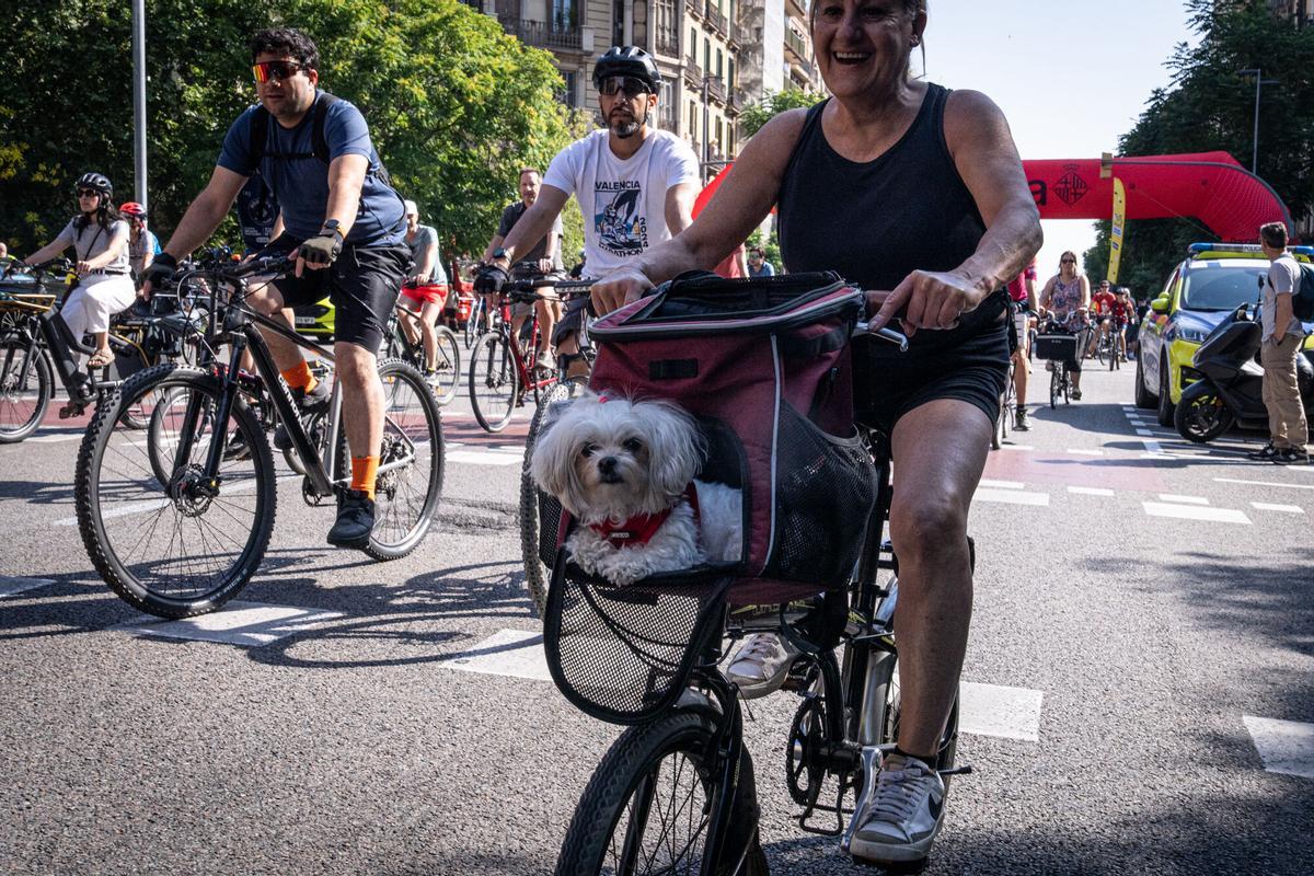 Festa de la Bici 2026. miles de participantes recorren las calles de Barcelona durante la pedalada popular de la Festa de la Bici, una marcha de 12 kilómetros que atraviesa algunos de los espacios más emblemáticos de la ciudad, entre ellos plaza Espanya, Paral·lel, plaza Catalunya, paseo Picasso o la calle Marina. La jornada, ha incorporado actividades vinculadas al próximo paso del Tour de Francia por Catalunya. A 31 de mayo de 2026. Barcelona. AUTOR: Manu Mitru | EPC