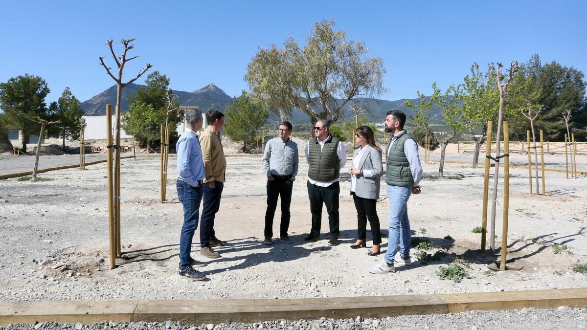 Arbolado plantado en Tibi