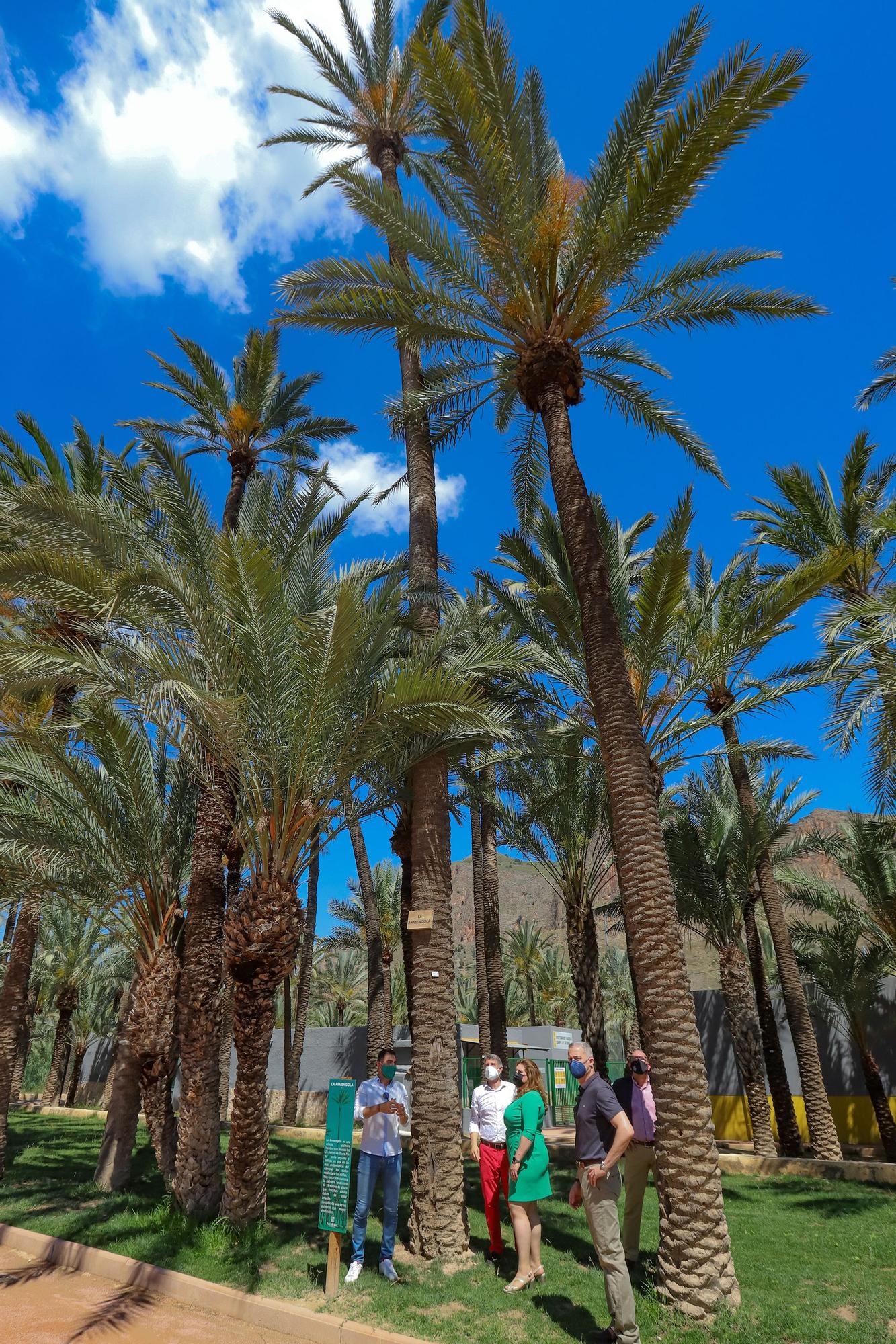 Orihuela celebra el Día del Medio Ambiente con talleres, rutas y un mercado de artesanía en su espacio más emblemático