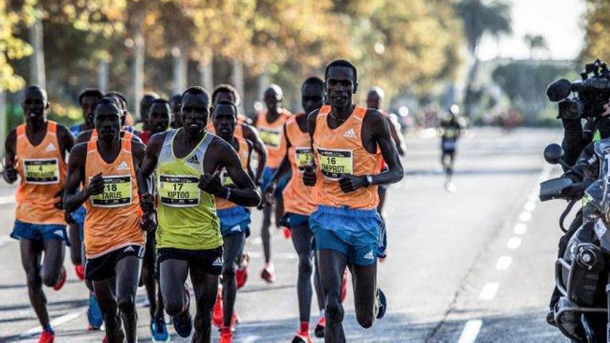 Ocho atletas sub 2h08:00 lucharán por batir el récord del Maratón de Valencia