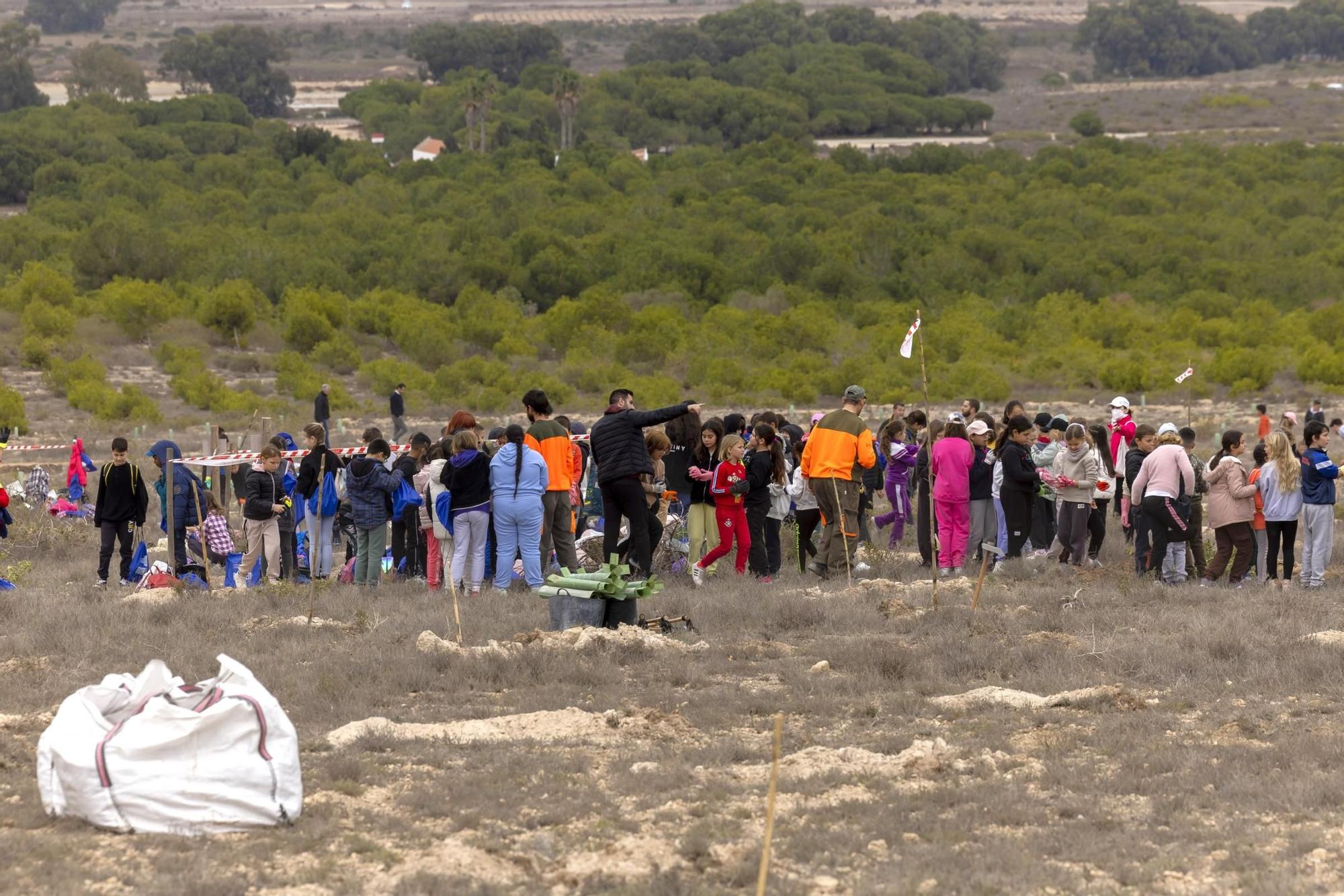 800 escolares se implican en la celebración del Día del Árbol con la plantación de especies autóctonas en torno a la laguna de La Mata de Torrevieja