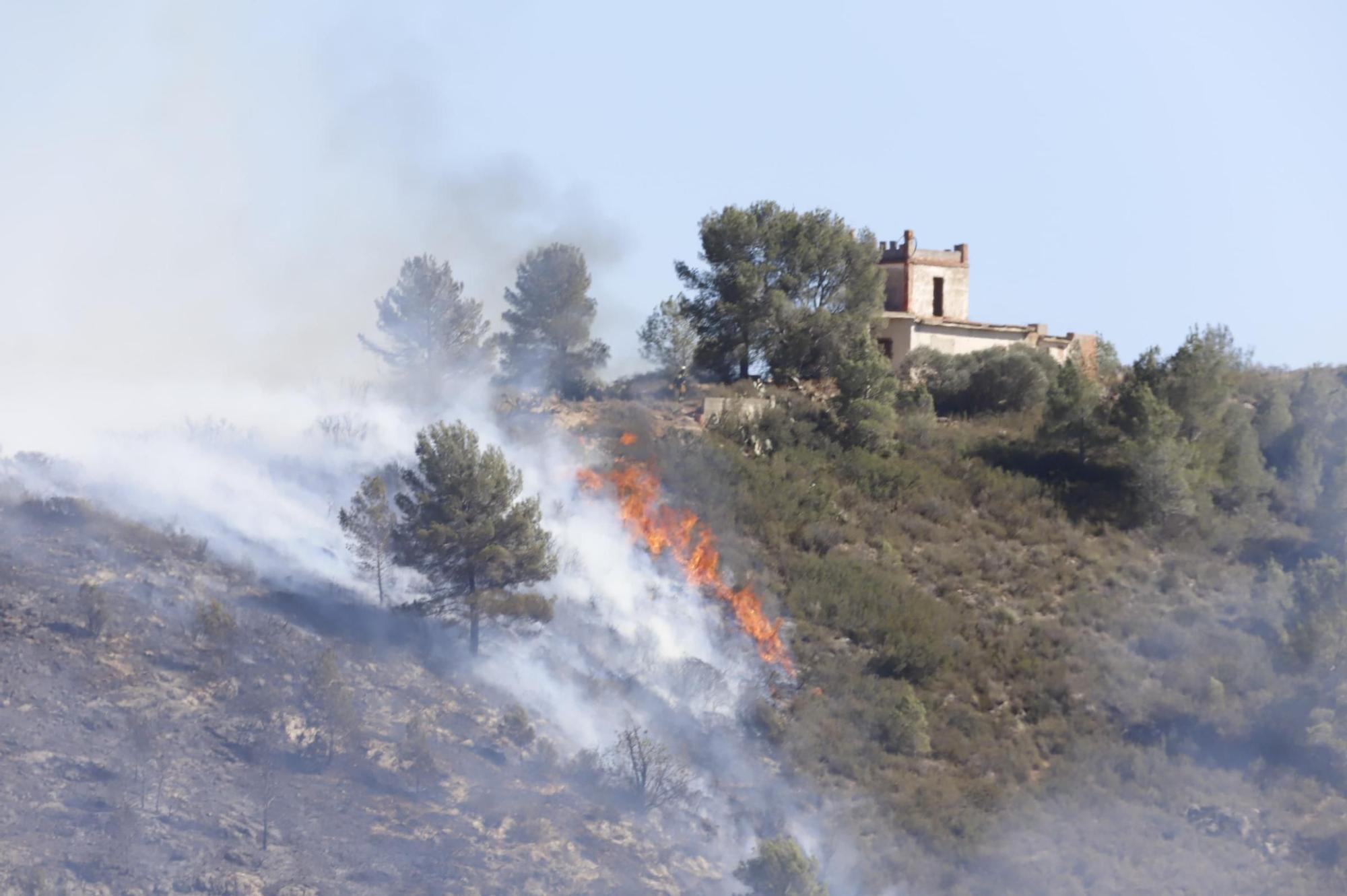 Las imágenes del incendio de Real