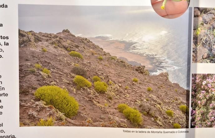 LA ISLETA PAISAJE PROTEGIDO EXPOSICIÓN