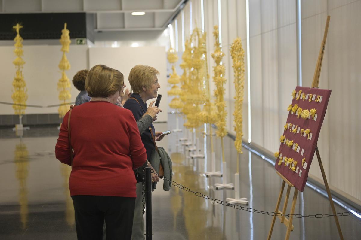 Visitantes en la exposición de palmas blancas que entran a concurso en Elche