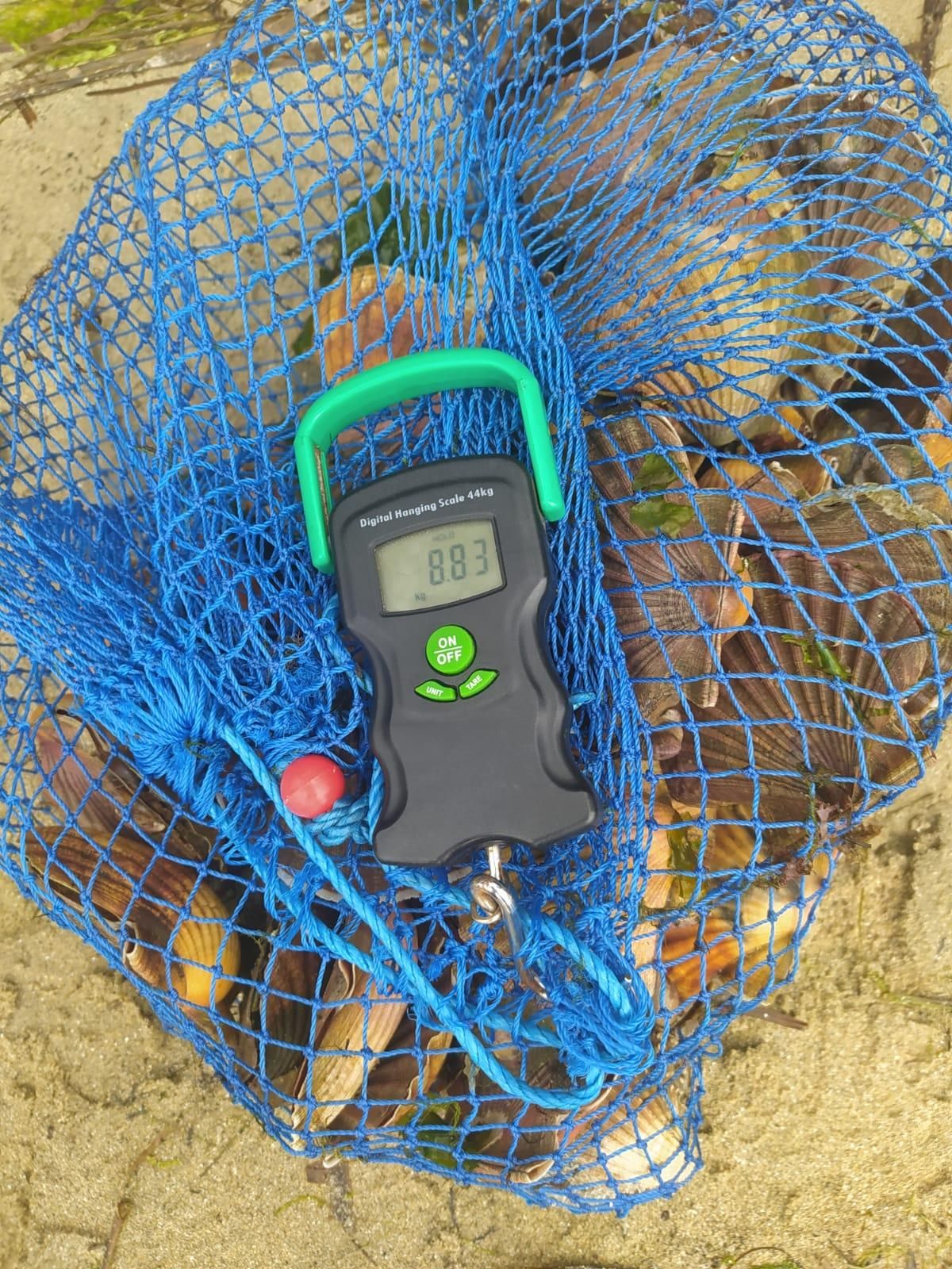 La mercancía encontrada entre las rocas.