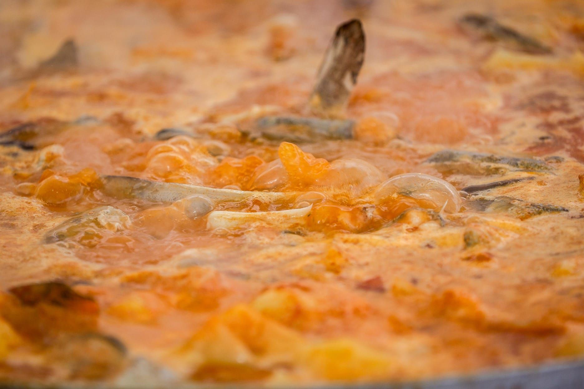 Catarroja celebra el LIII Concurso Internacional de Allipebre