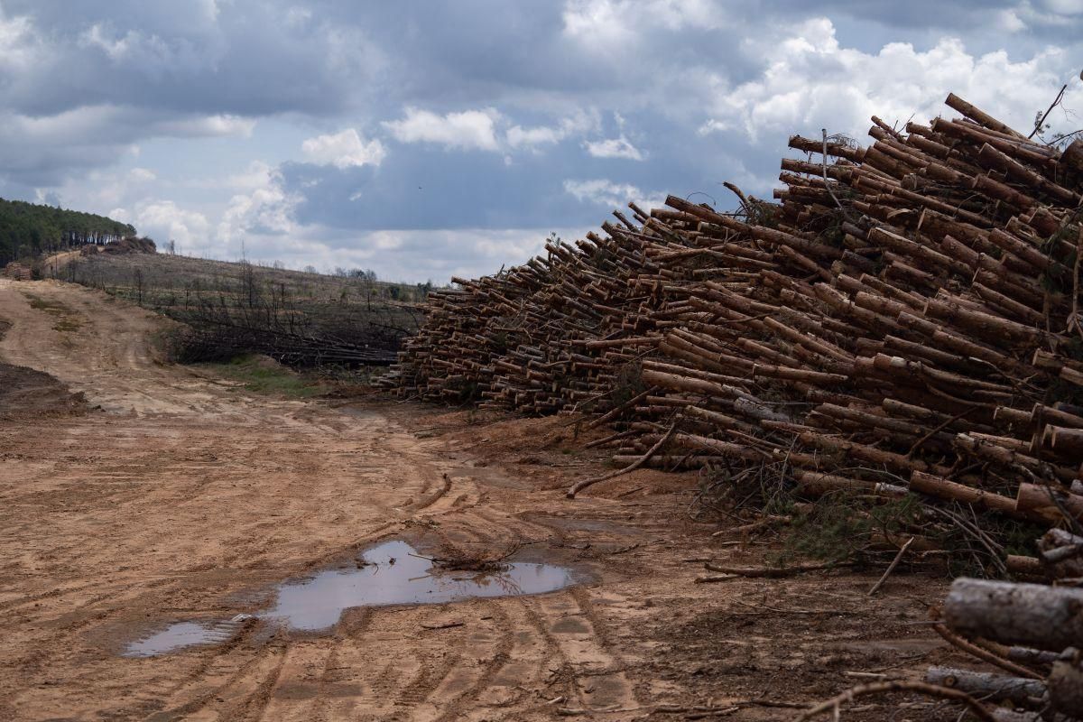 Pueblos afectados por el primer incendio de 2022 en la Sierra de la Culebra