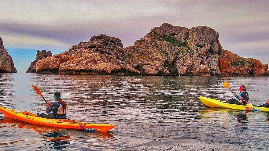 Una de les activitats més sol·licitades ha estat la de caic.