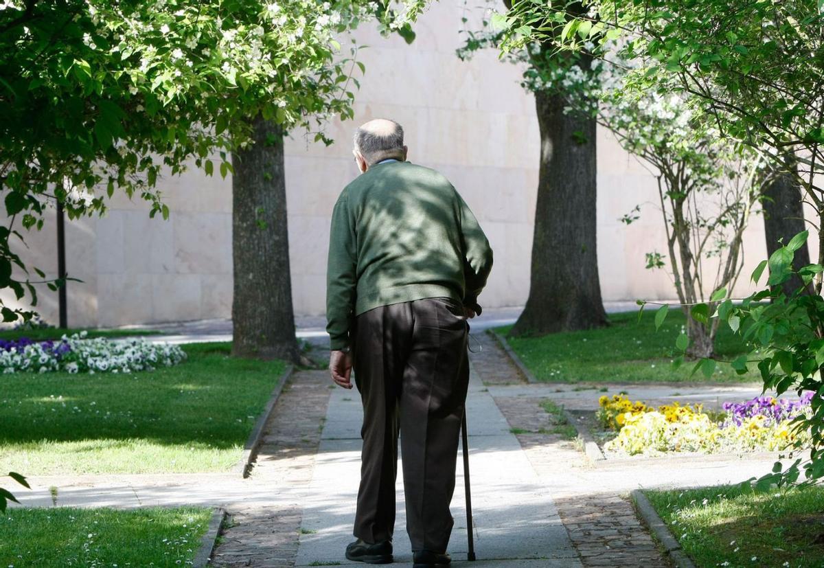Un jubilado pasea por los jardines de la plaza de la Catedral. | LOZ