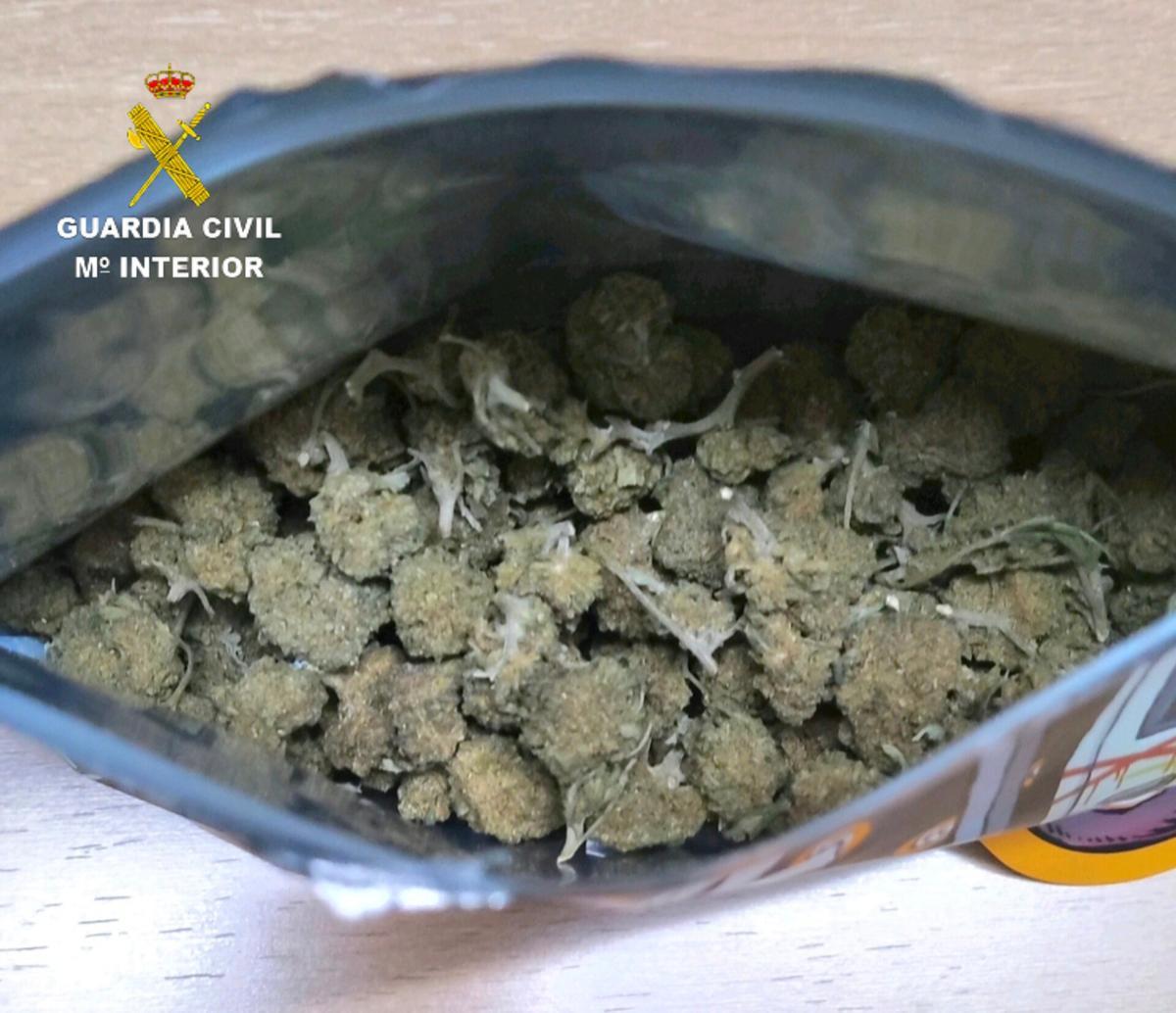 Cogollos de marihuana que estaban a la venta.