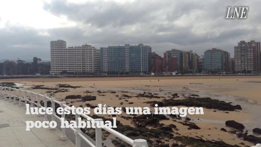 Marea baja en Gijón