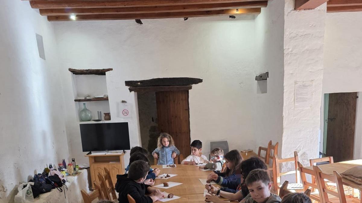 Estas son las imágenes del campamento de arqueología en Can Tomeu, programación de Natura