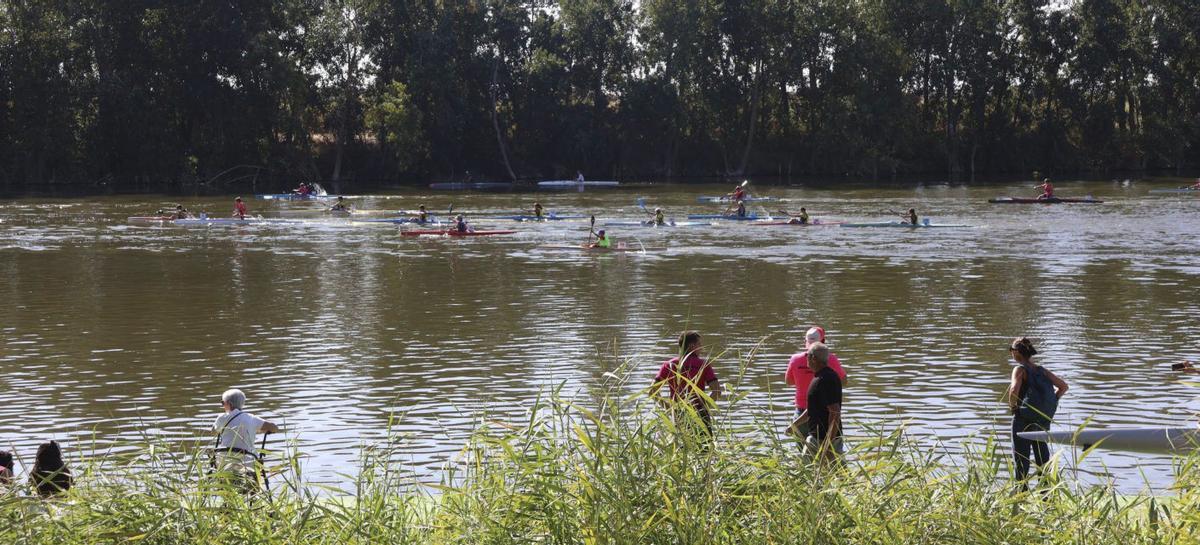 Panorámica del Duero, este domingo durante el Regional de Edad de Piragüismo. | V. G.
