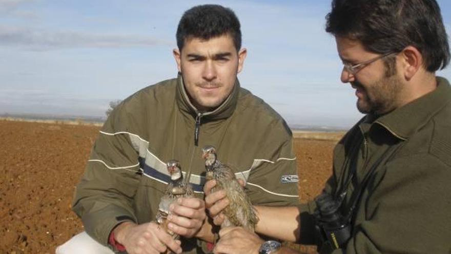 José Ángel Armenteros, de frente, con un compañero, sujetando dos ejemplares de perdices rojas.