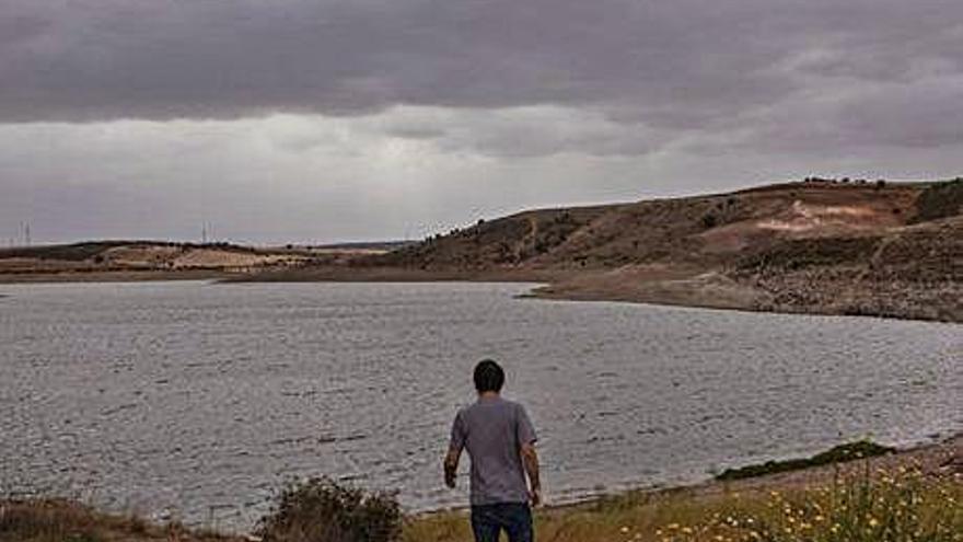 Estado del embalse de Ricobayo en la zona de Andavías.