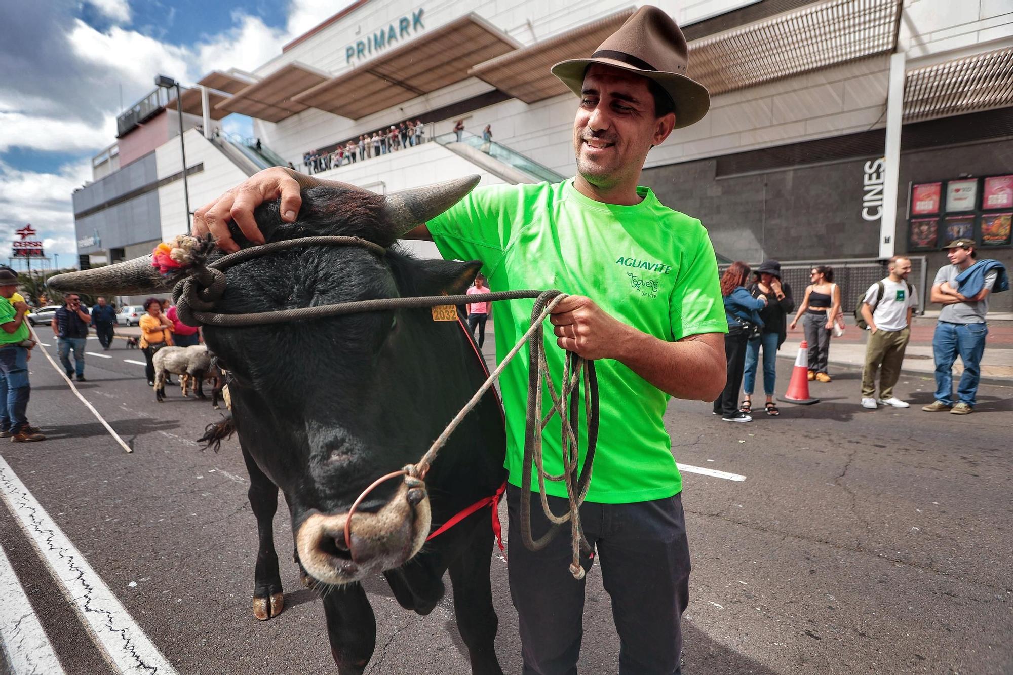 El sector agrario protesta en las calles de Santa Cruz