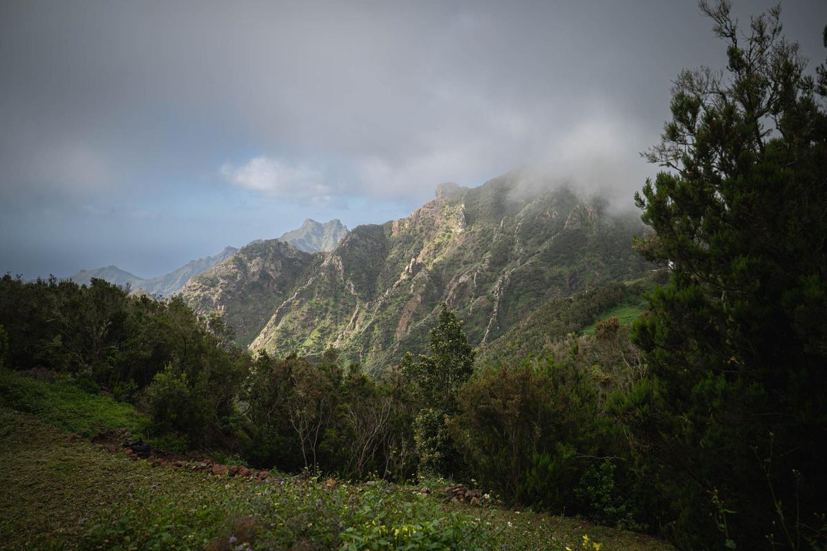 El Cresal, en Santa Cruz de Tenerife