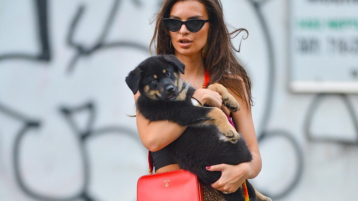 Emily Ratajkowski, de paseo con su perro