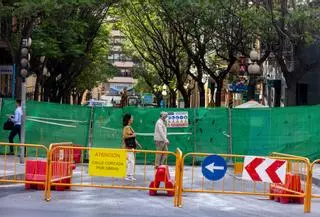 El Consell irrumpe en la polémica por las melias de la avenida Constitución: pide a Barcala que renuncie al traslado de los árboles