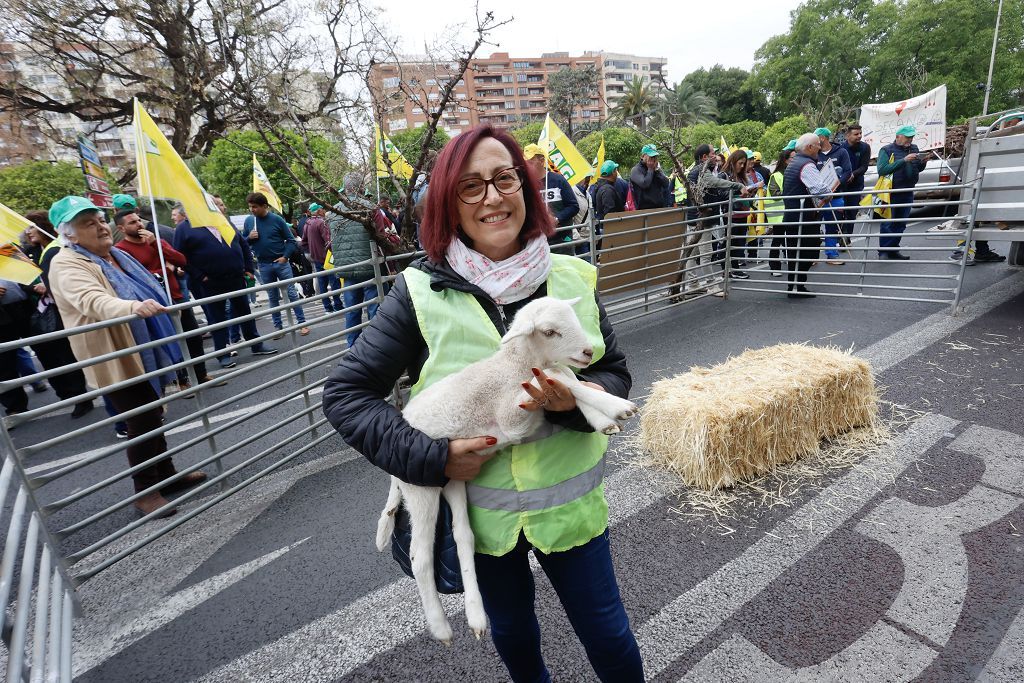 Medio millas de agricultores y ganaderos protestan en Teniente Flomesta