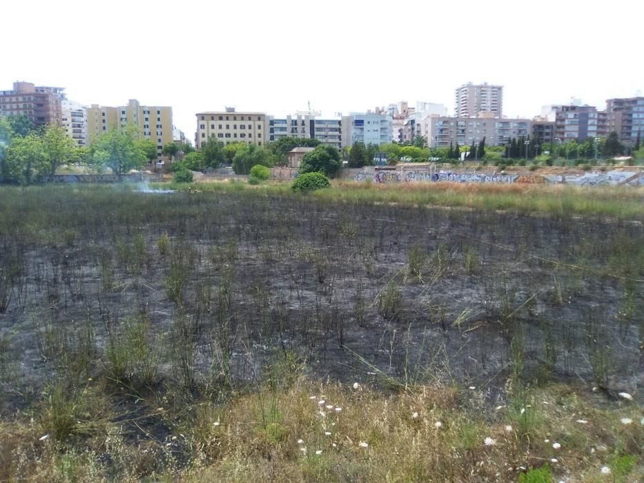 Declarado un incendio de rastrojos en el antiguo canódromo de Palma