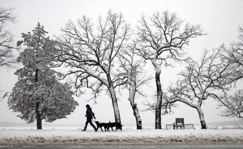 Una mujer pasea sus perros tras una nevada en Minneapolis