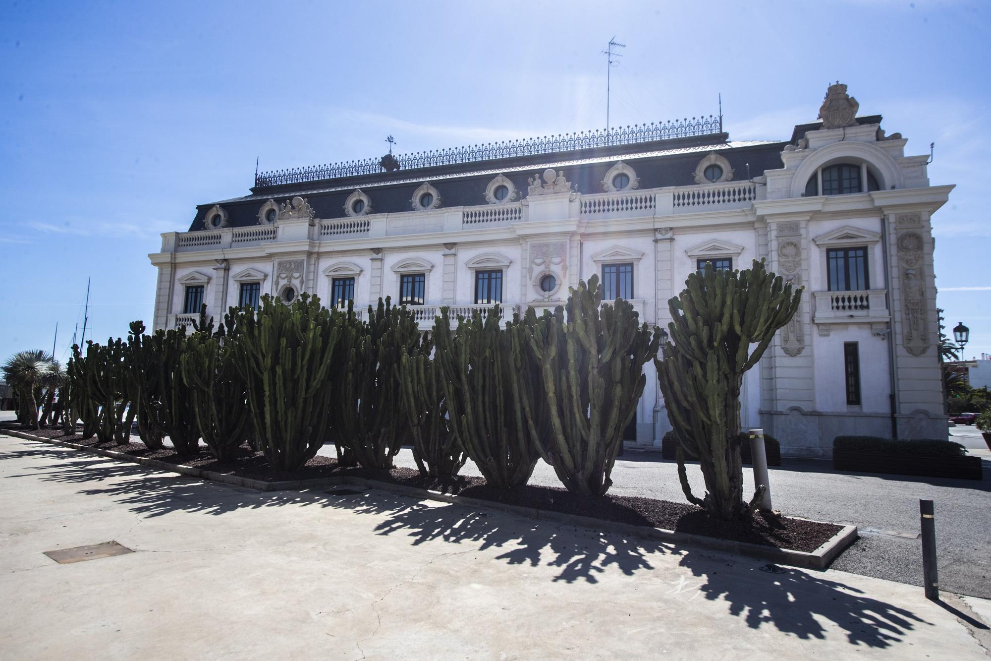 ¿Conoces los jardines de cactus de València?