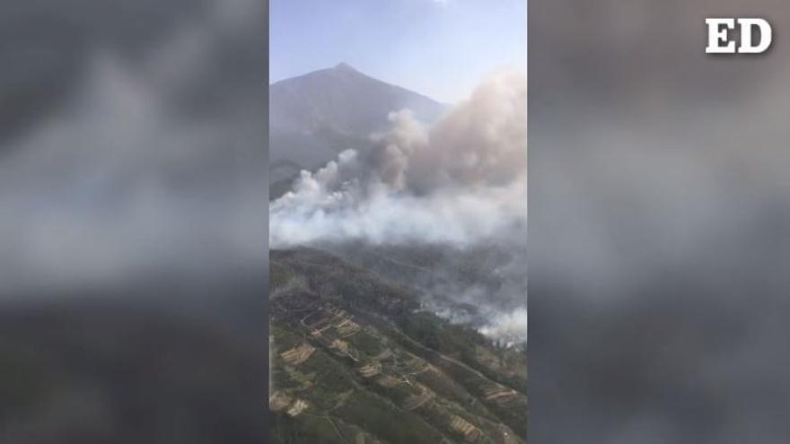 Un hidroavión sobrevuela la zona del incendio forestal de Los Realejos