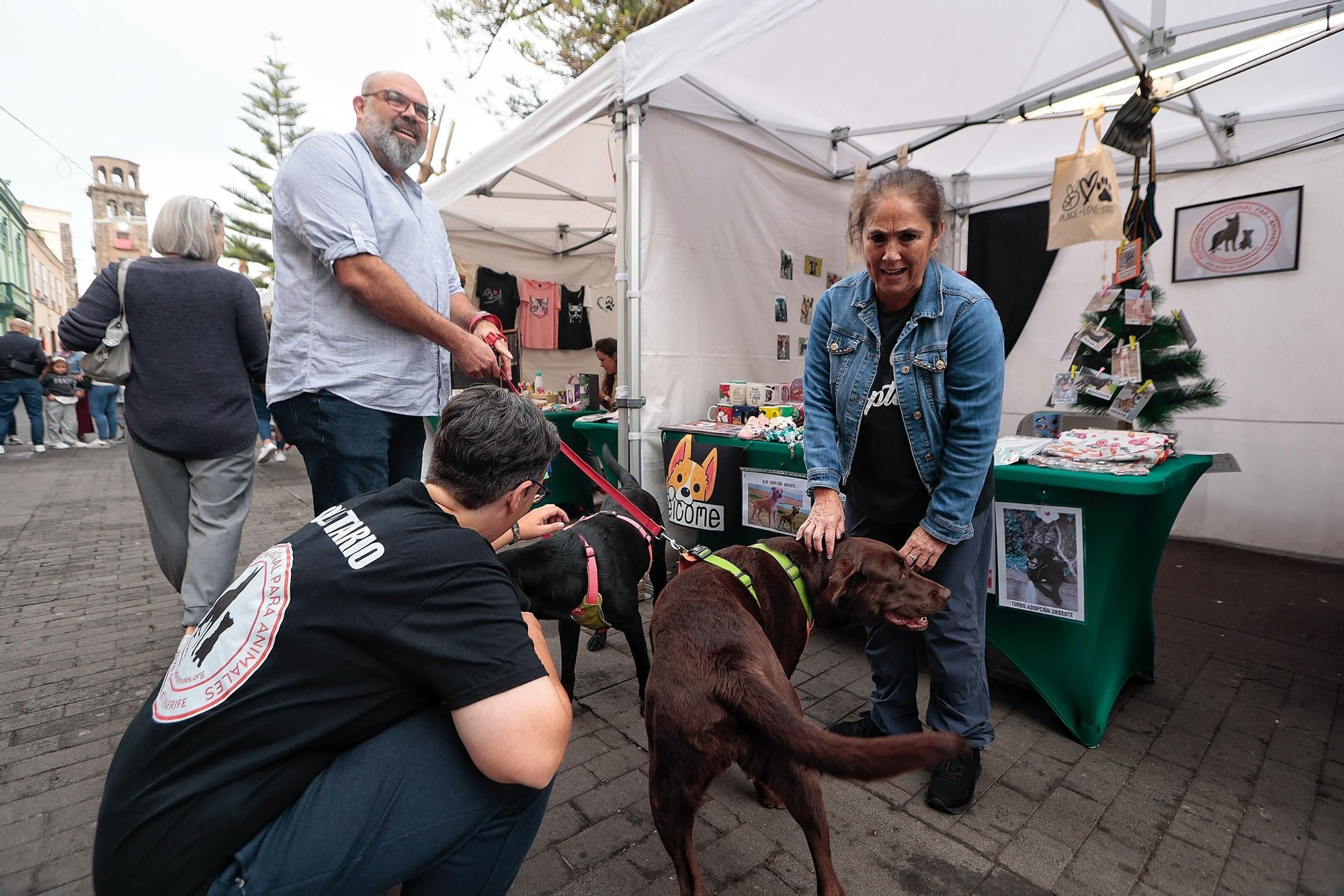Feria de la Adopción Responsable de Animales de Compañía