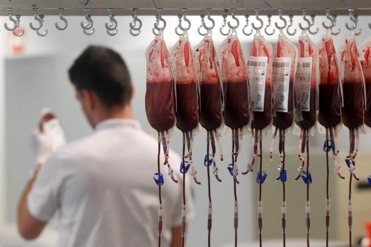 Catalunya necessita 65.000 donacions anuals de plasma per a tractaments Catalunya necessita 65.000 donacions anuals de plasma per a tractaments