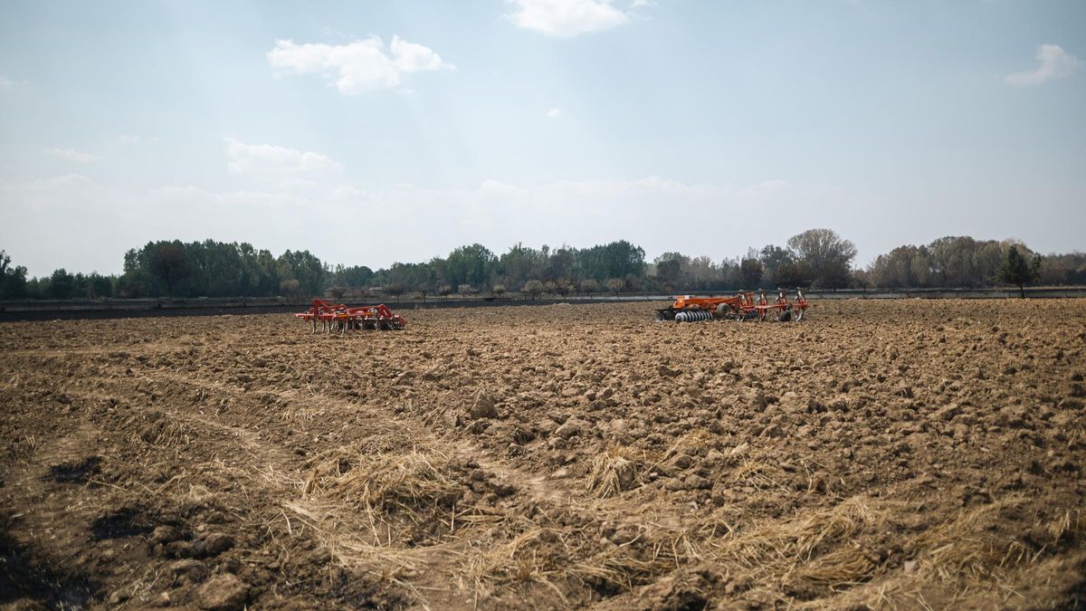 El campo reclama entrar en el Pacto de Estado contra el cambio climático:  Talar un árbol no es un crimen, es hacer gestión forestal 