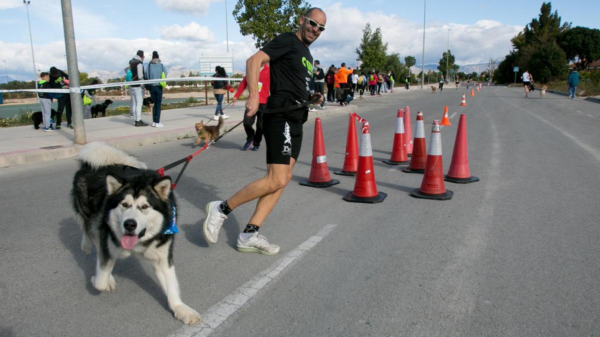 La Can We Run Alicante 20202 se realizará de forma virtual