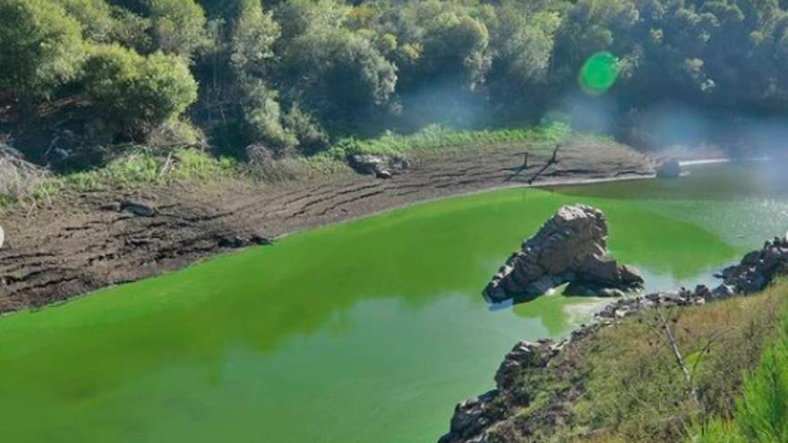 Microcistina en aguas del pantano de Portodemouros