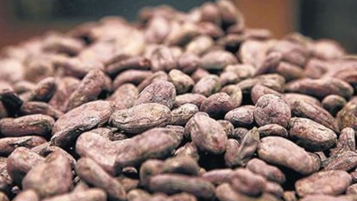 La procedencia del cacao determina el carácter del chocolate.