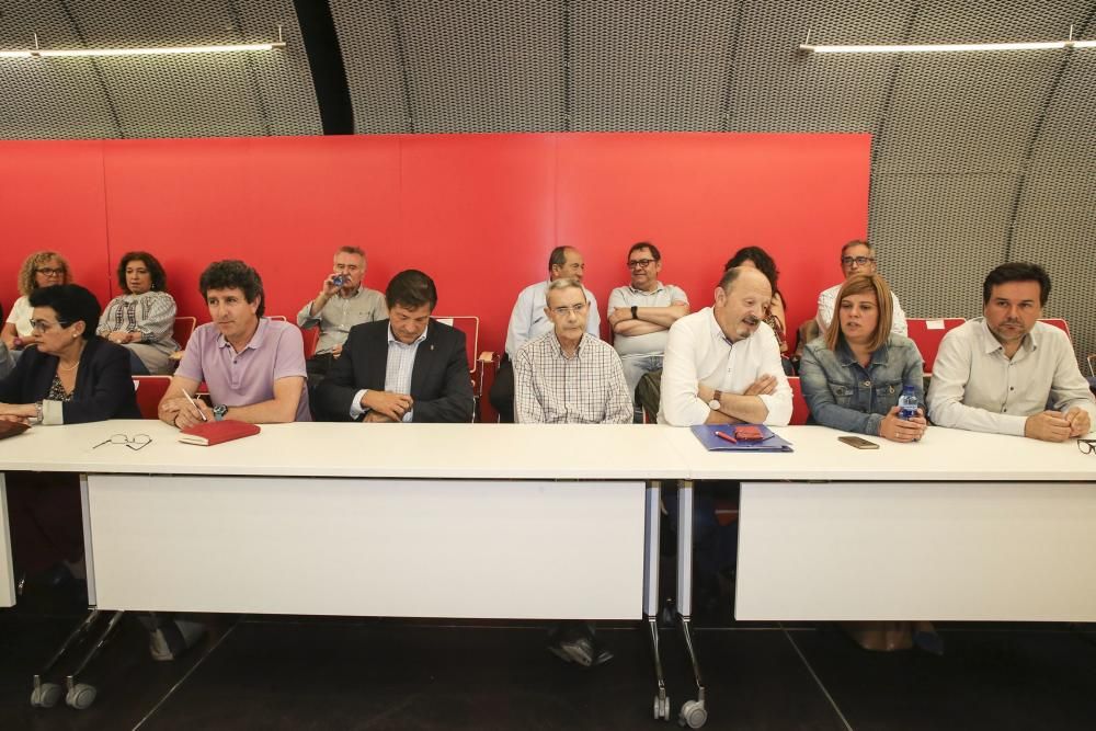 Comité autonómico de la Federación Socialista Asturiana (FSA)