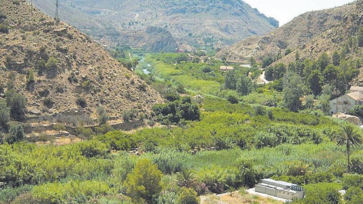 Valle de Ricote, Blanca.