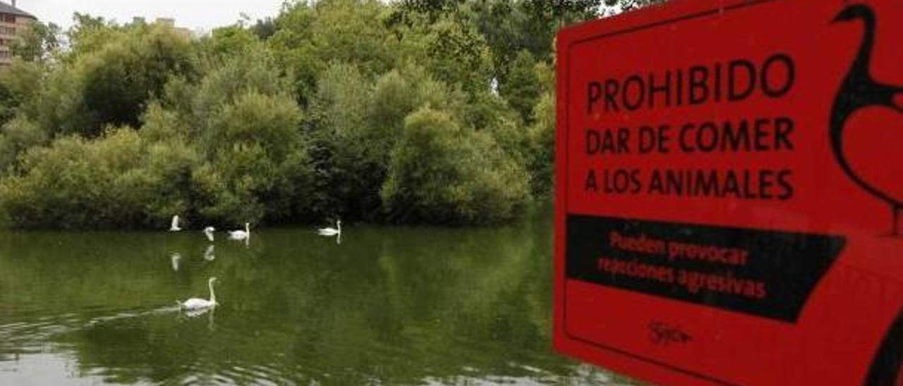 Juegos infantiles en un parque de Pumarín.