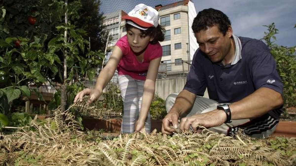 Un oasis ecológico en medio de la ciudad