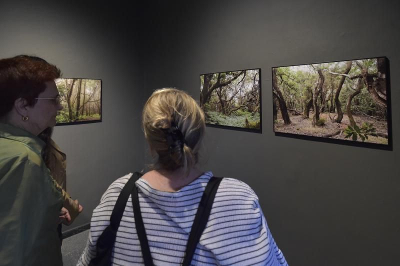 Presentación de libro y exposición sobre la lauris