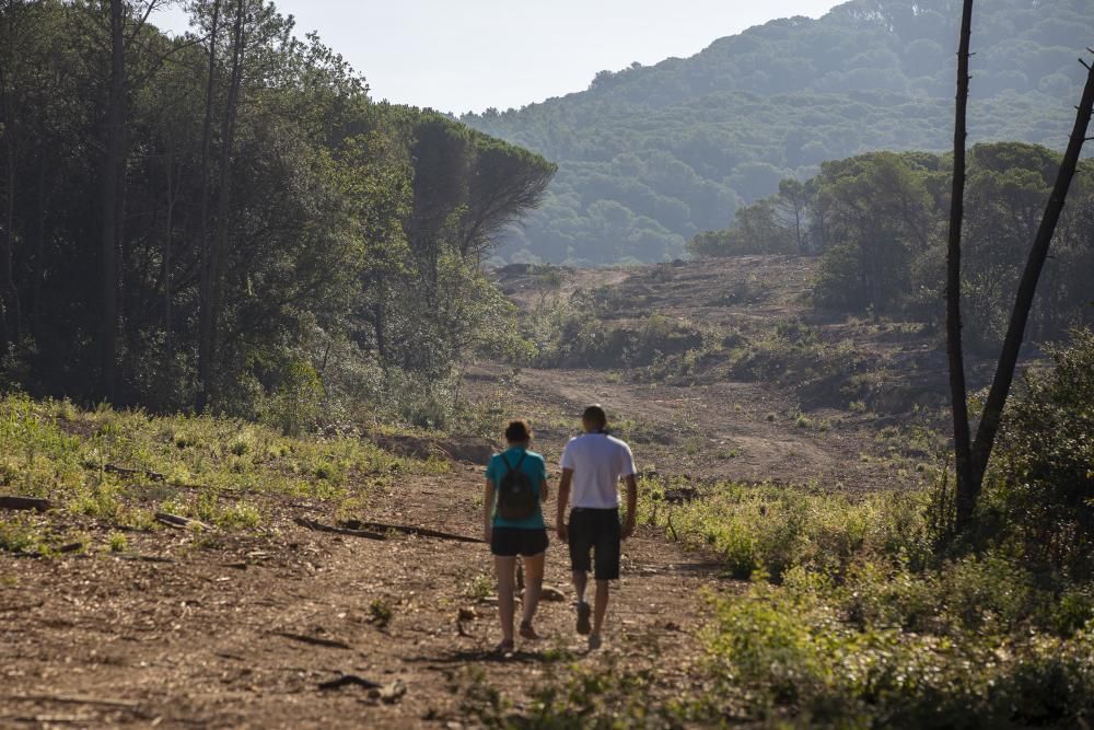 La plataforma Aturem la C-32 denuncia que la constructora segueix treballant