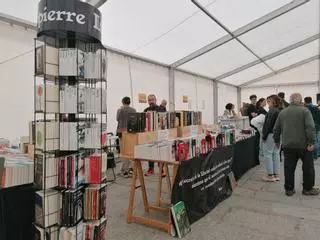 GALERÍA | La Feria del Libro de Toro, una cita con la cultura