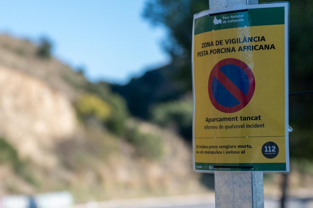 La UME se despliega para contener el brote de peste porcina