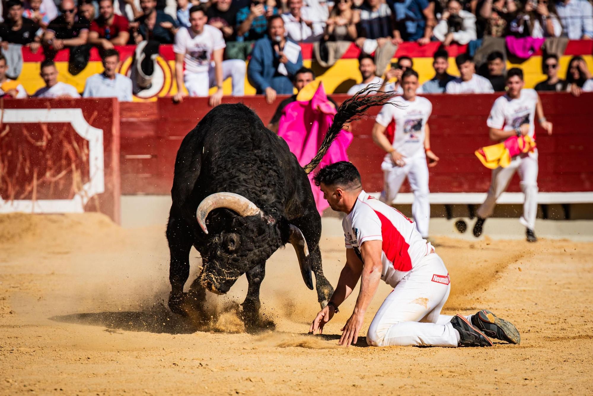 Así ha sido la gran final del campeonato de recortadores