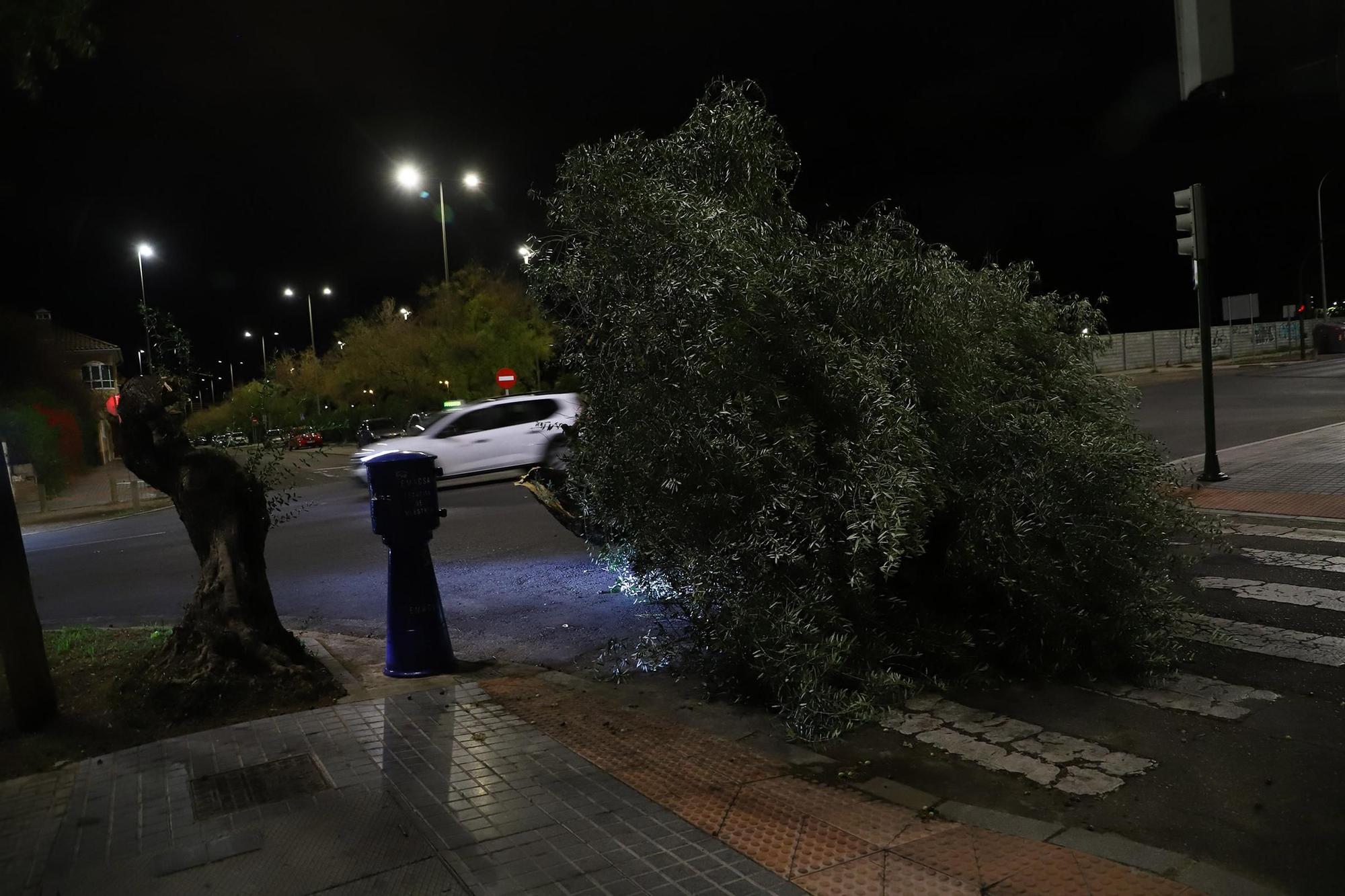 Los efectos del temporal en Córdoba, en imágenes